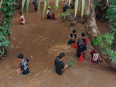 Asyiknya Nuba, Tradisi Menangkap Ikan Di Sungai Bersama Warga Cidokom, Gunungsindur.